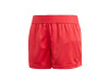 Sweat Shorts